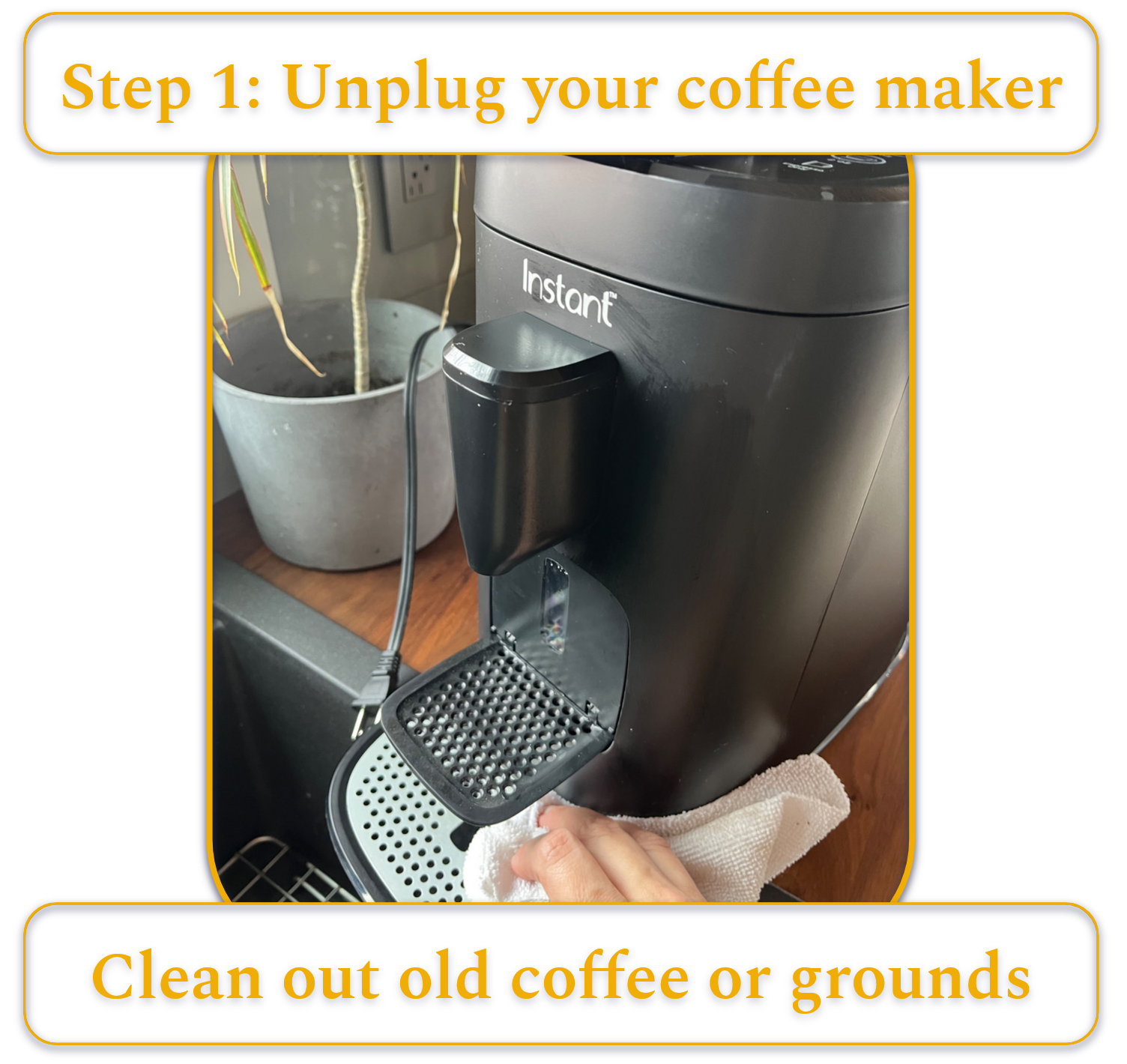 [MK] Draft: How to Clean a Coffee Maker, Kristi Carignan