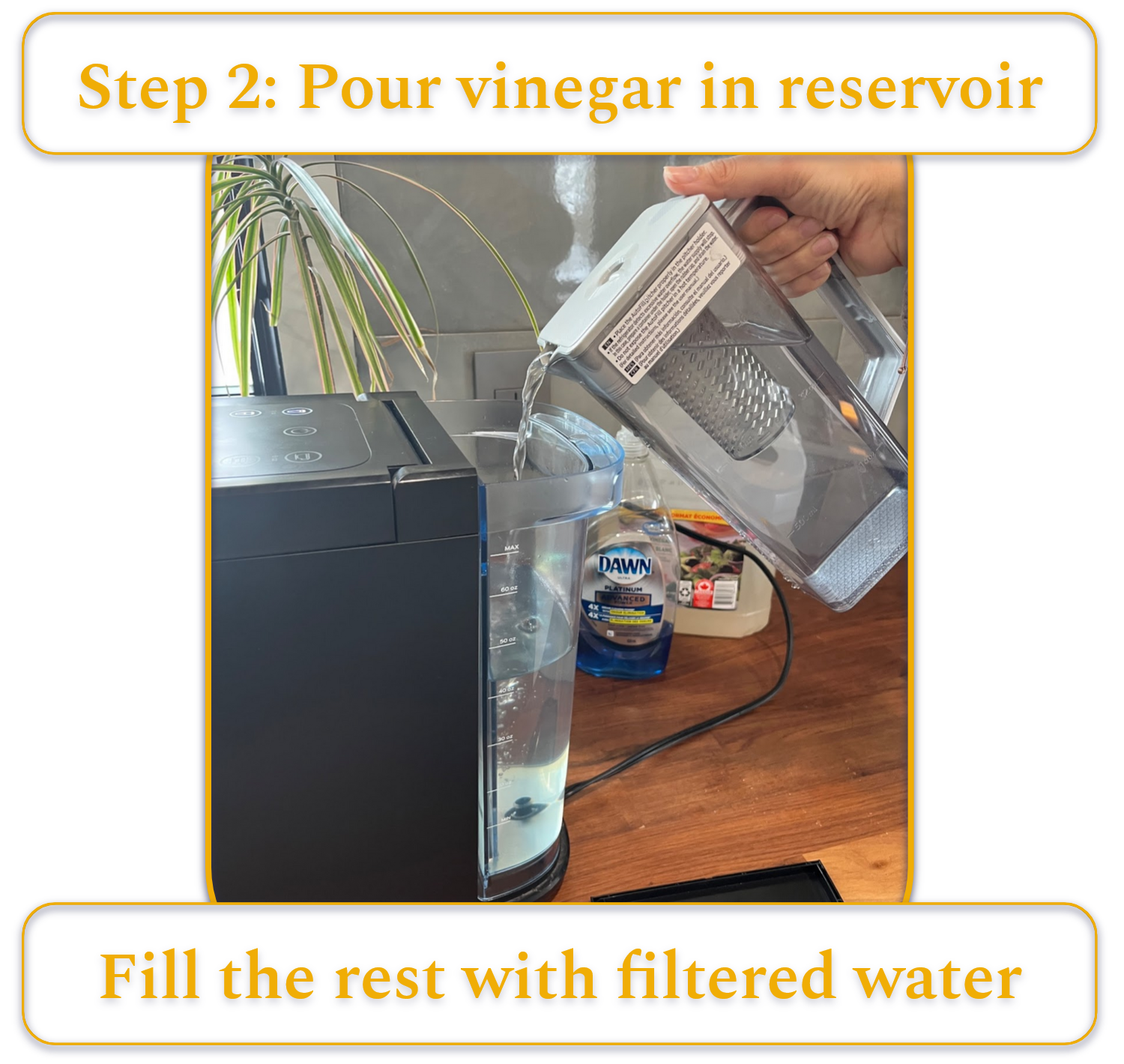 [MK] Draft: How to Clean a Coffee Maker, Kristi Carignan