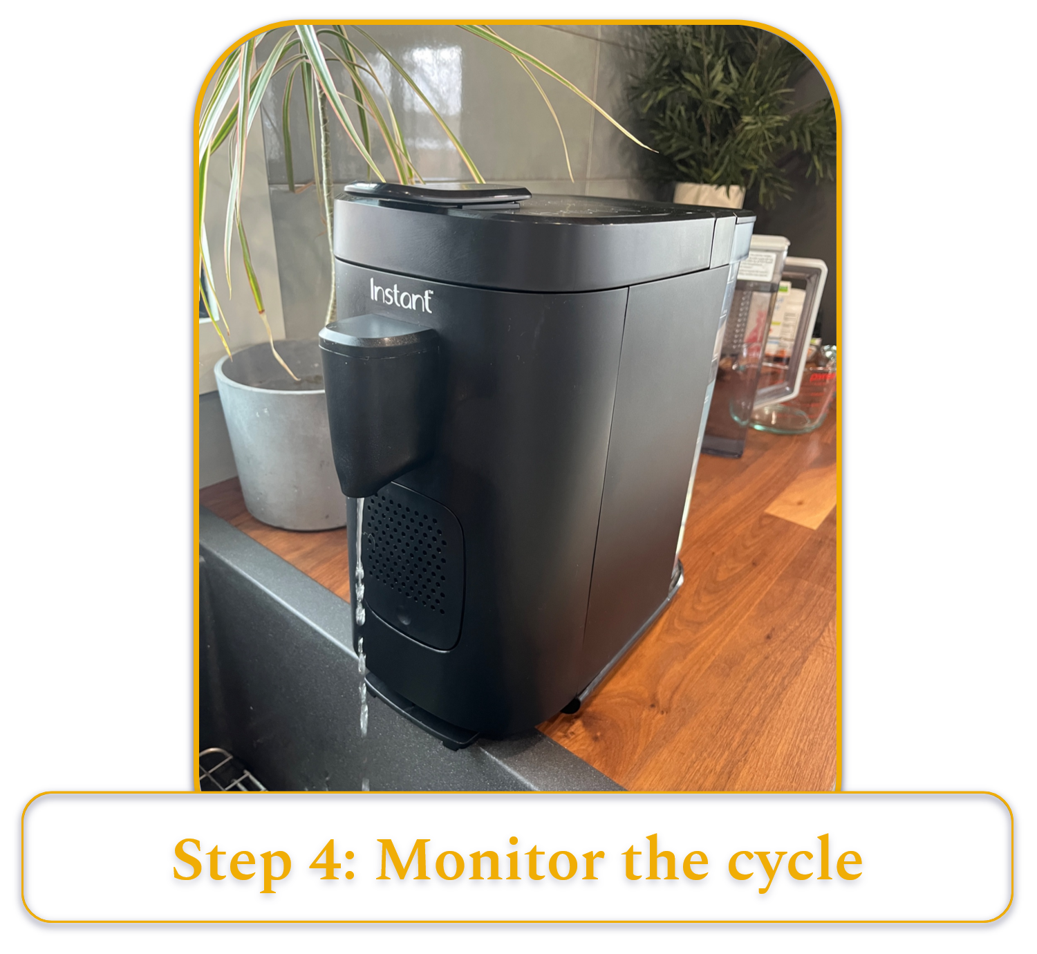 [MK] Draft: How to Clean a Coffee Maker, Kristi Carignan
