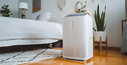 Dehumidifiers
