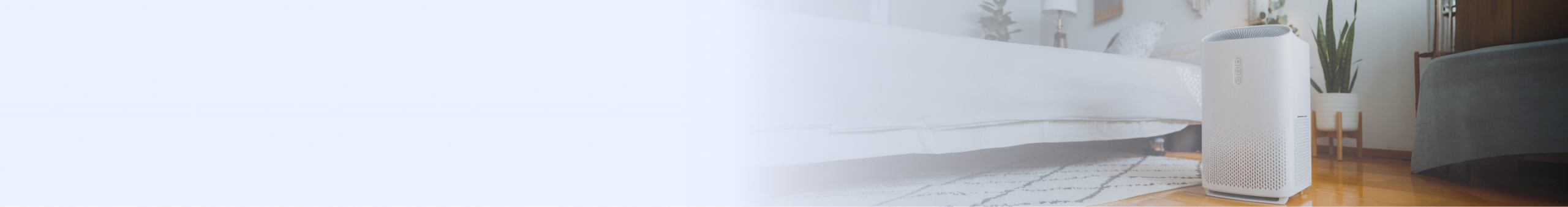 The Best Dehumidifiers