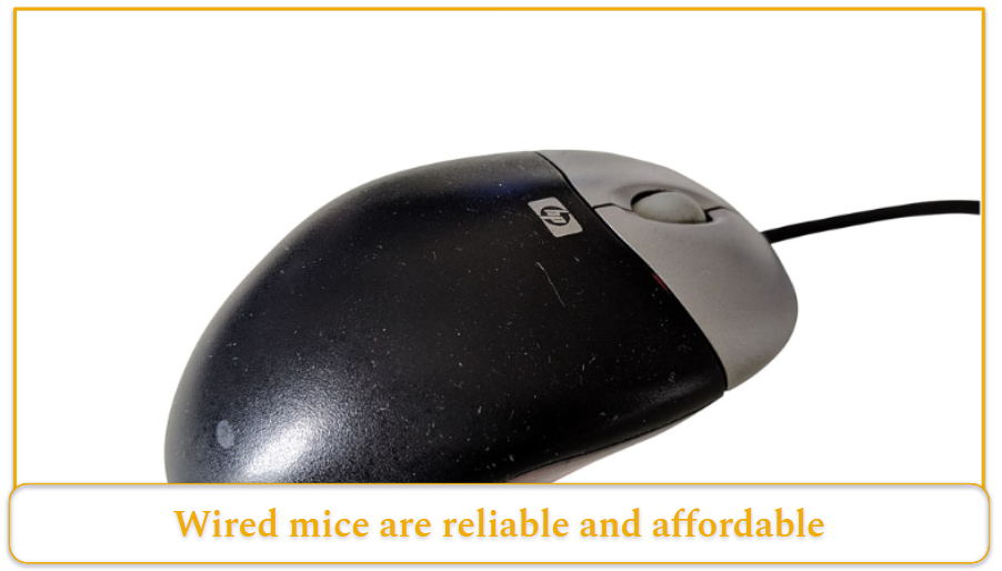 Types of Mice