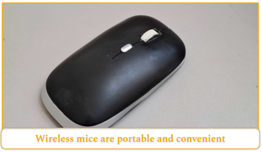 Types of Mice
