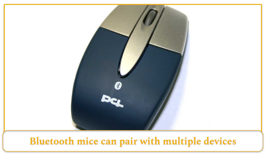 Types of Mice