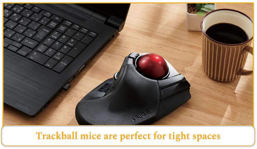 Types of Mice