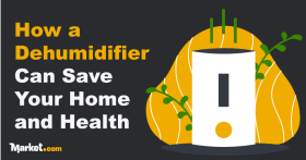 How a Dehumidifier Can Save Your Home and Health