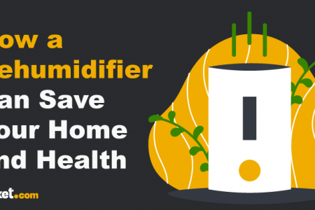 How a Dehumidifier Can Save Your Home and Health