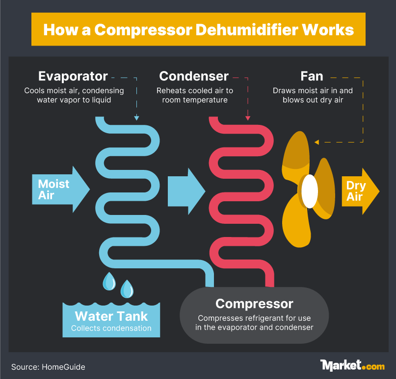 An infographic showing how a compressor dehumidifier works