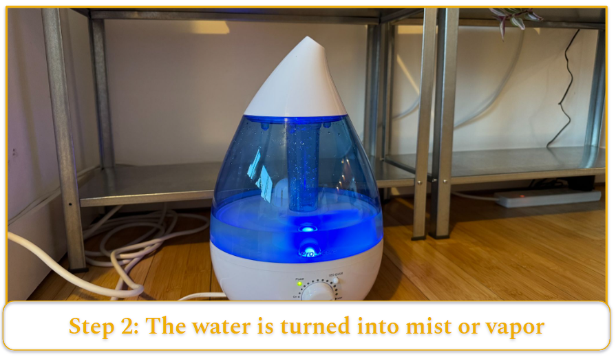 [MK] Draft: How Does a Humidifier Work