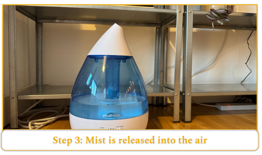 [MK] Draft: How Does a Humidifier Work