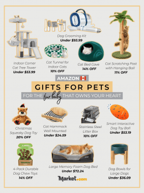 Gifts For Pets
