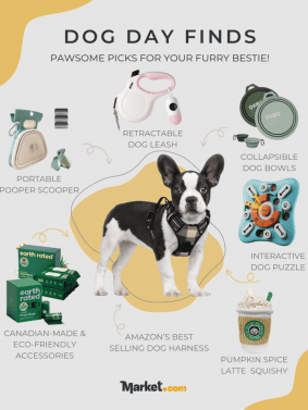 International Dog Day Finds