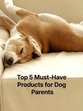 Must Haves for Dog Lovers
