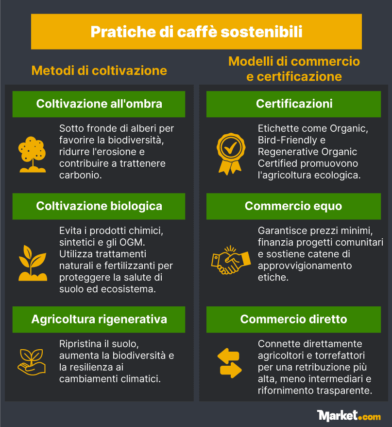 Pratiche di caffè sostenibili, metodi di coltivazione e certificazioni