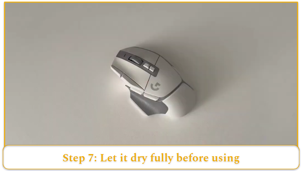 [MK] Draft: How to Clean a Computer Mouse
