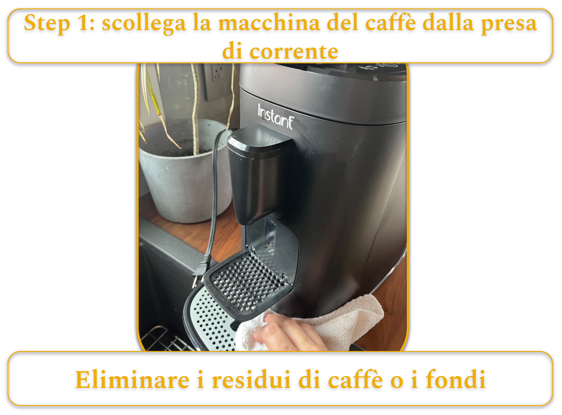 [MK] Draft: How to Clean a Coffee Maker, Kristi Carignan