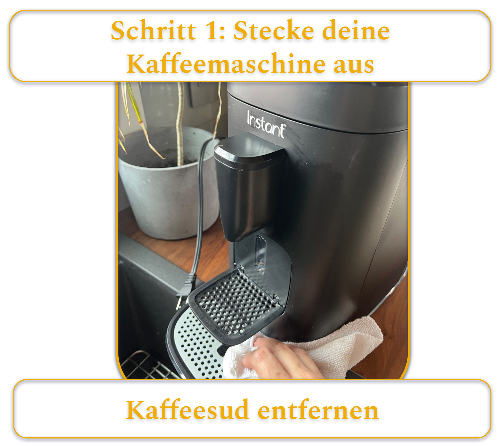 [MK] Draft: How to Clean a Coffee Maker, Kristi Carignan