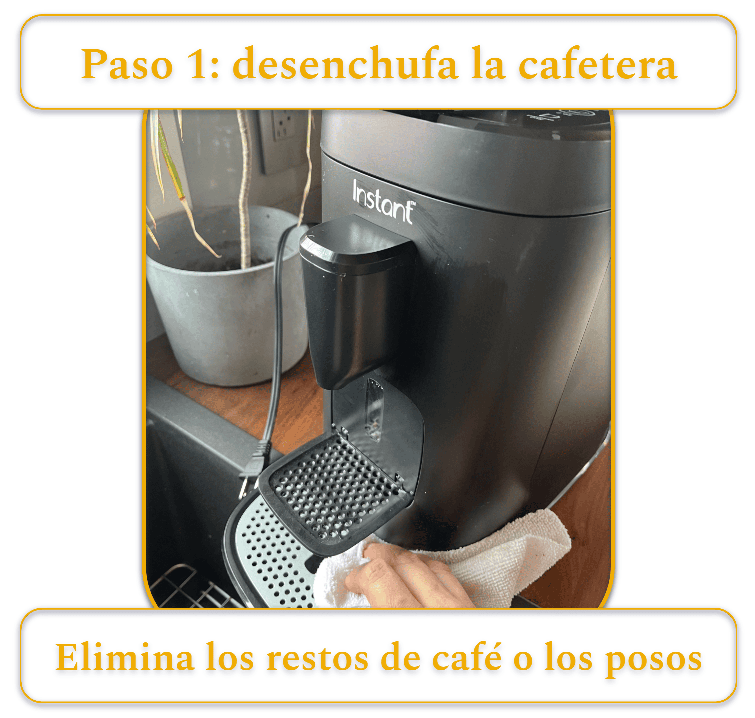 [MK] Borrador: Cómo limpiar una cafetera, Kristi Carignan