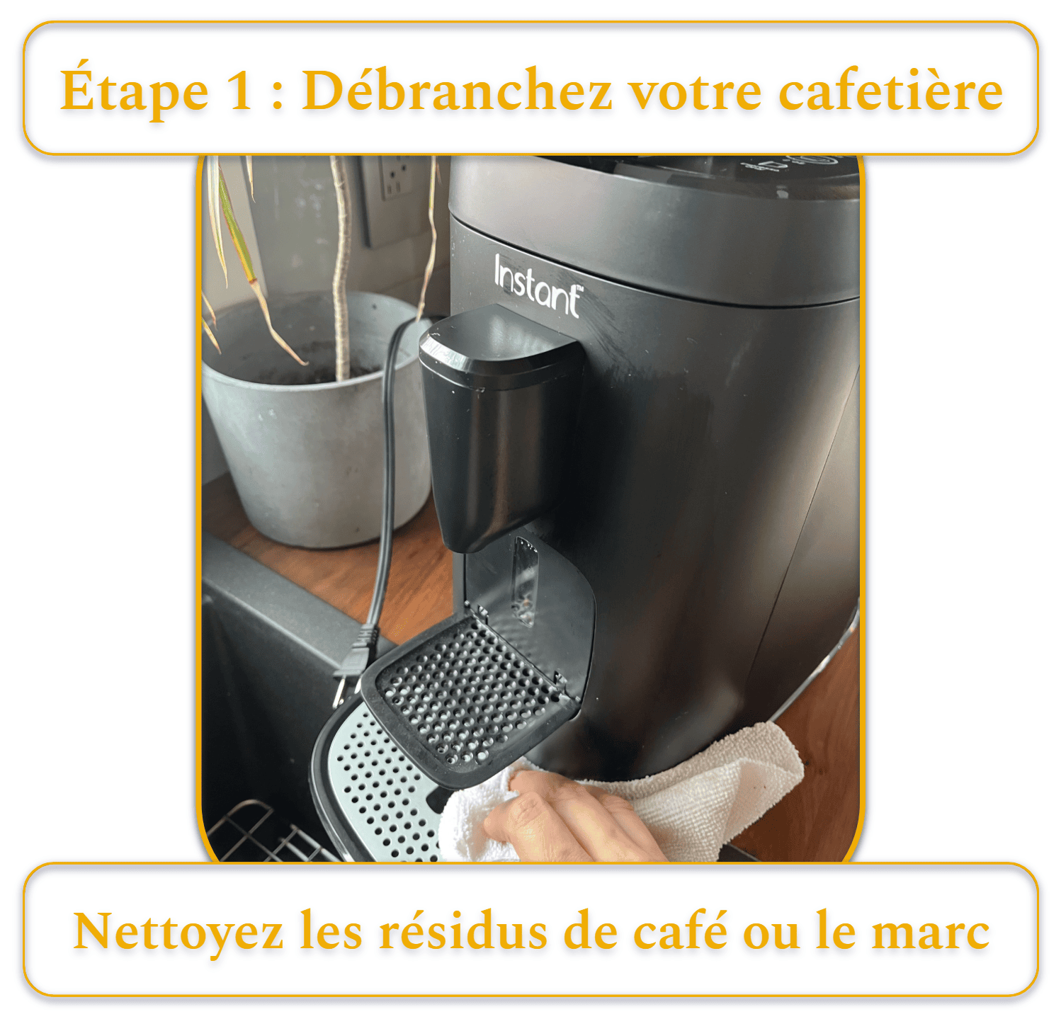 [MK] Draft: How to Clean a Coffee Maker, Kristi Carignan