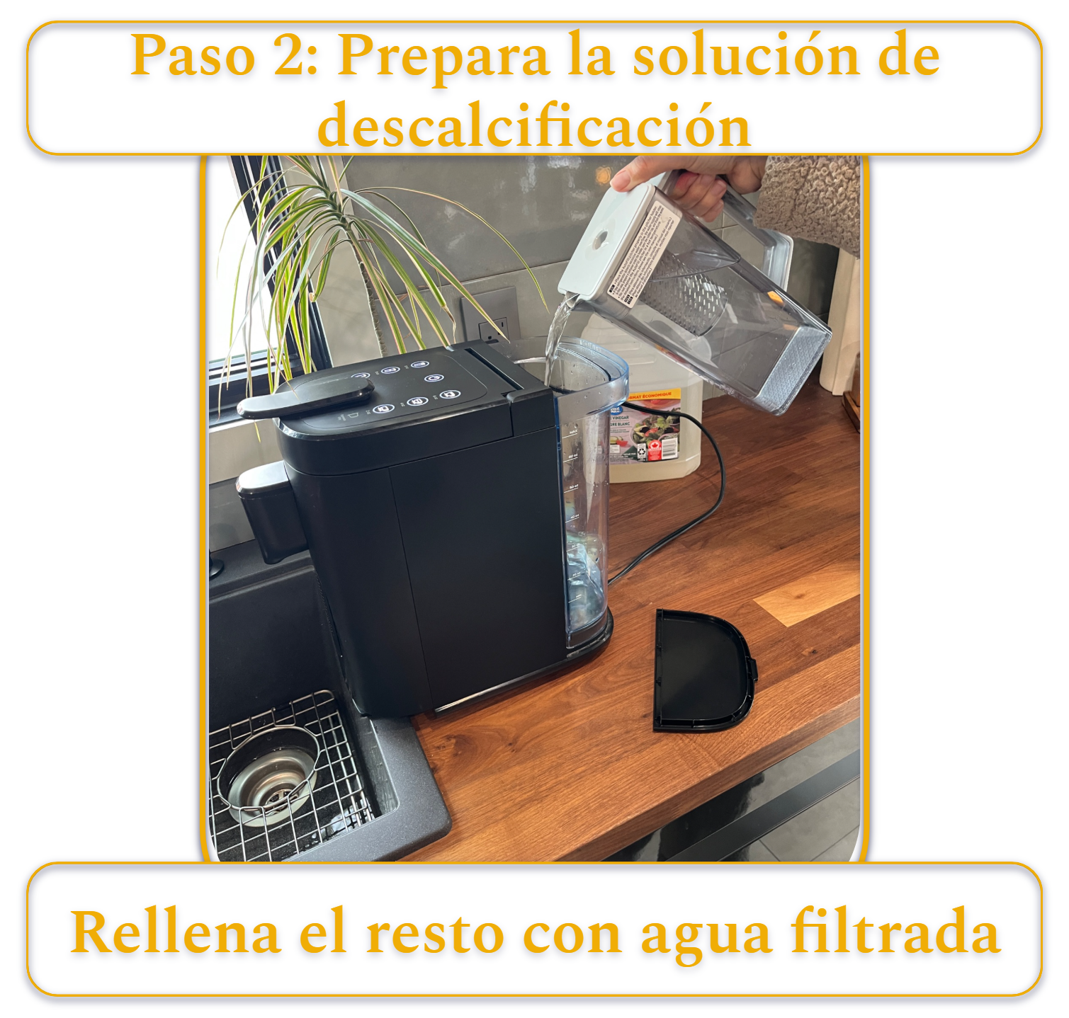 [MK] Borrador: Cómo limpiar una cafetera, Kristi Carignan