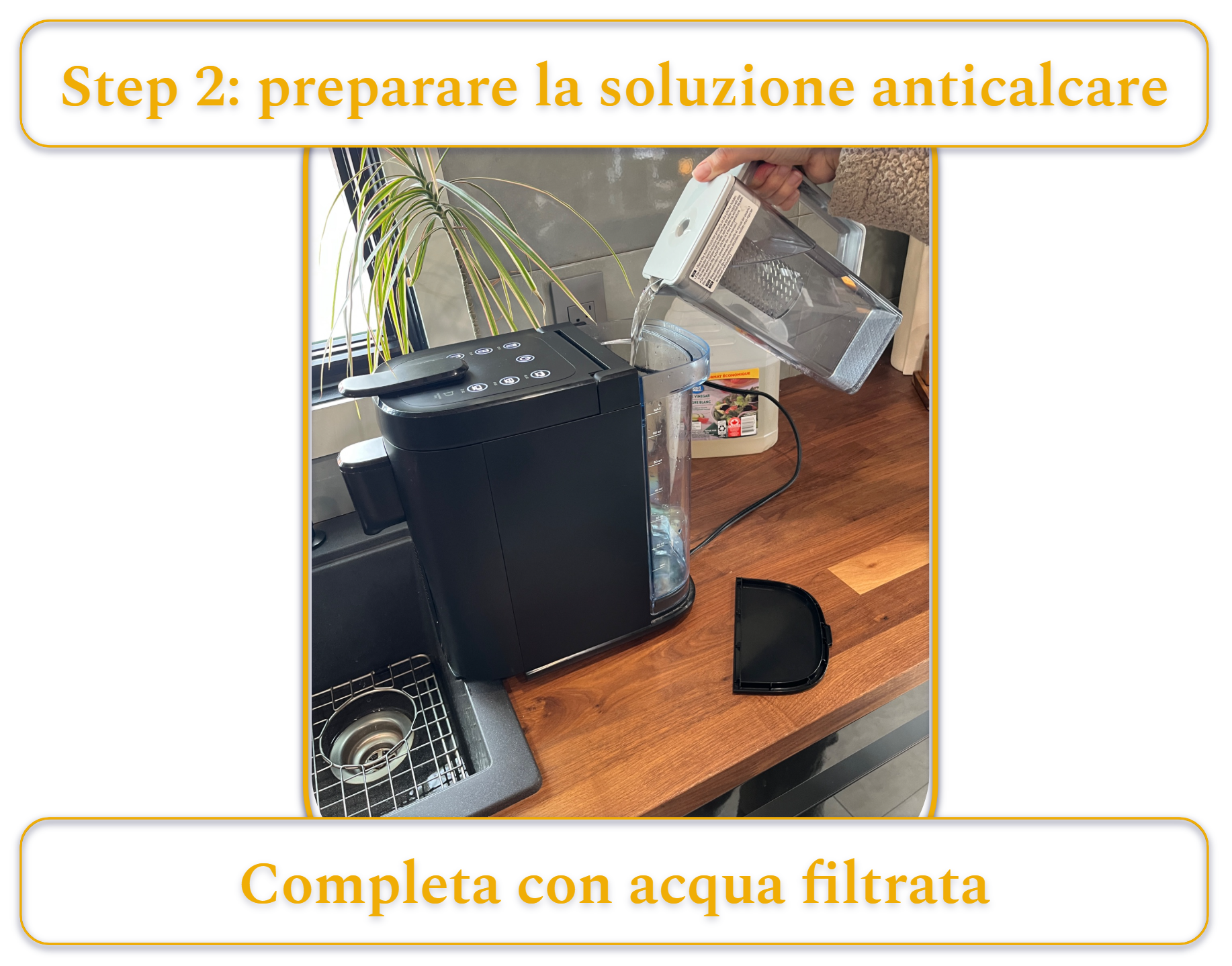 [MK] Draft: How to Clean a Coffee Maker, Kristi Carignan