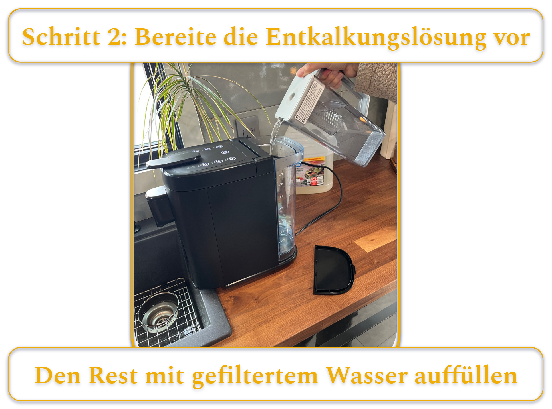 [MK] Draft: How to Clean a Coffee Maker, Kristi Carignan