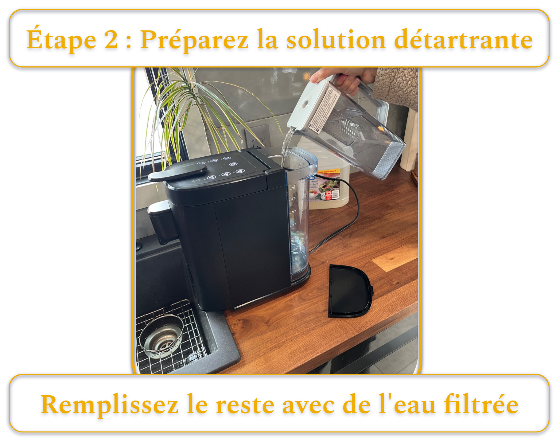 [MK] Draft: How to Clean a Coffee Maker, Kristi Carignan