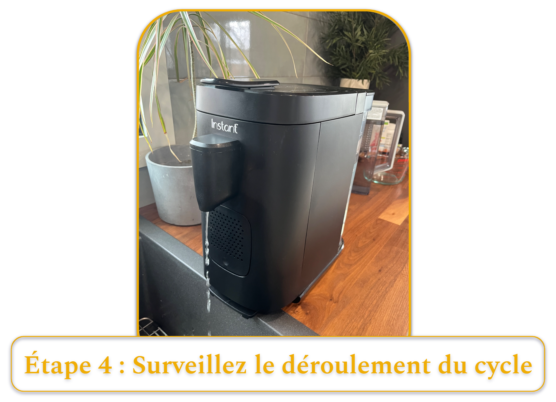 [MK] Draft: How to Clean a Coffee Maker, Kristi Carignan