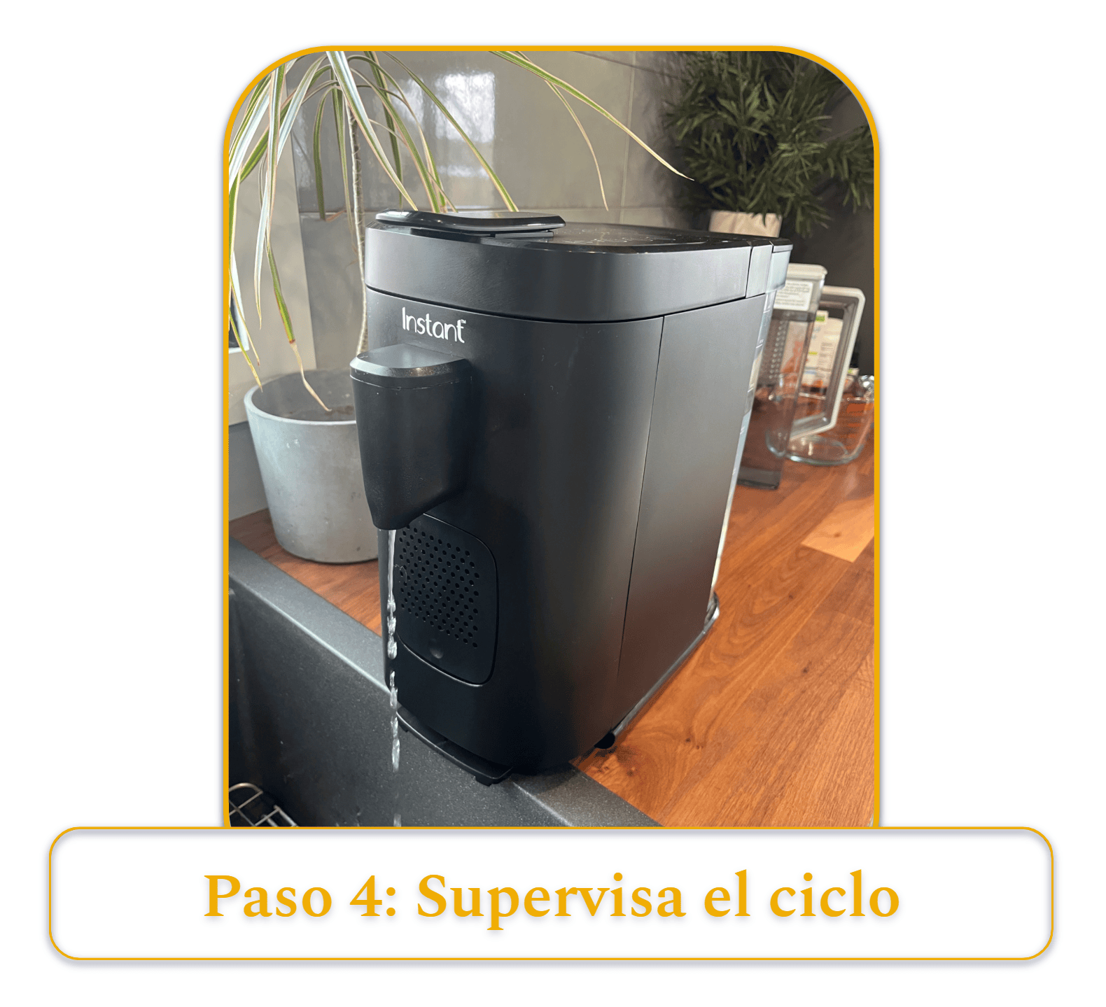 [MK] Borrador: Cómo limpiar una cafetera, Kristi Carignan