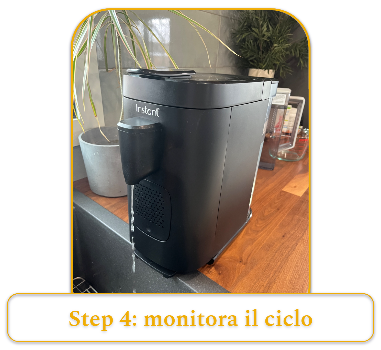 [MK] Draft: How to Clean a Coffee Maker, Kristi Carignan