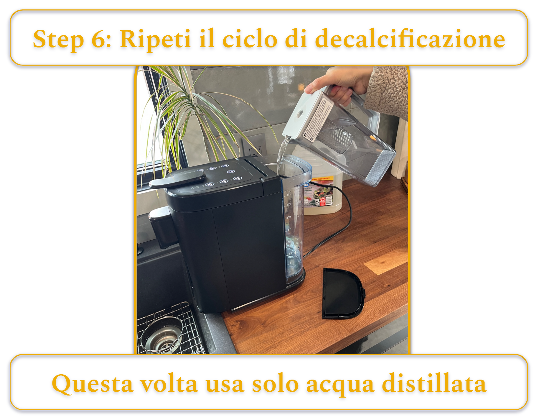 [MK] Draft: How to Clean a Coffee Maker, Kristi Carignan