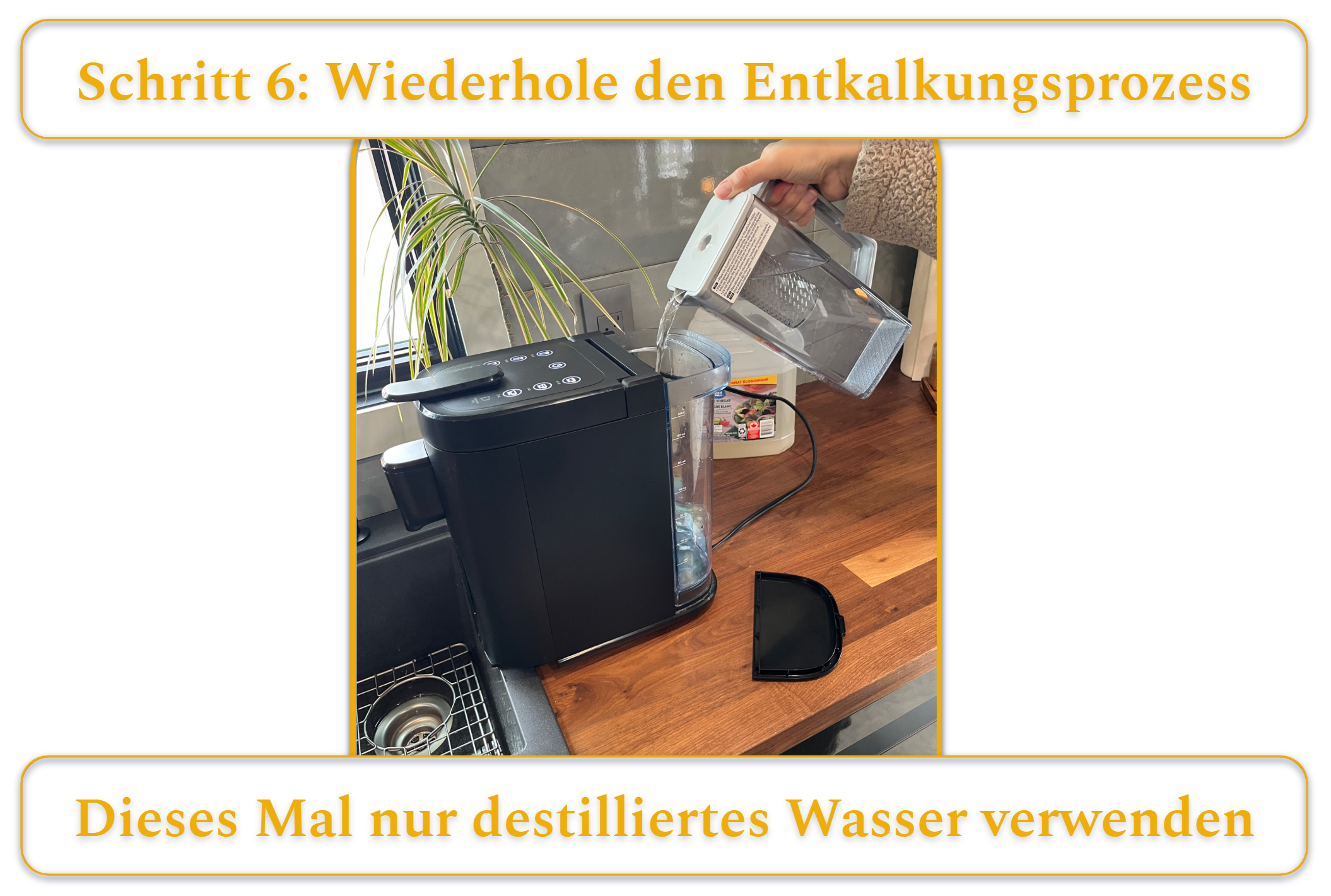 [MK] Draft: How to Clean a Coffee Maker, Kristi Carignan