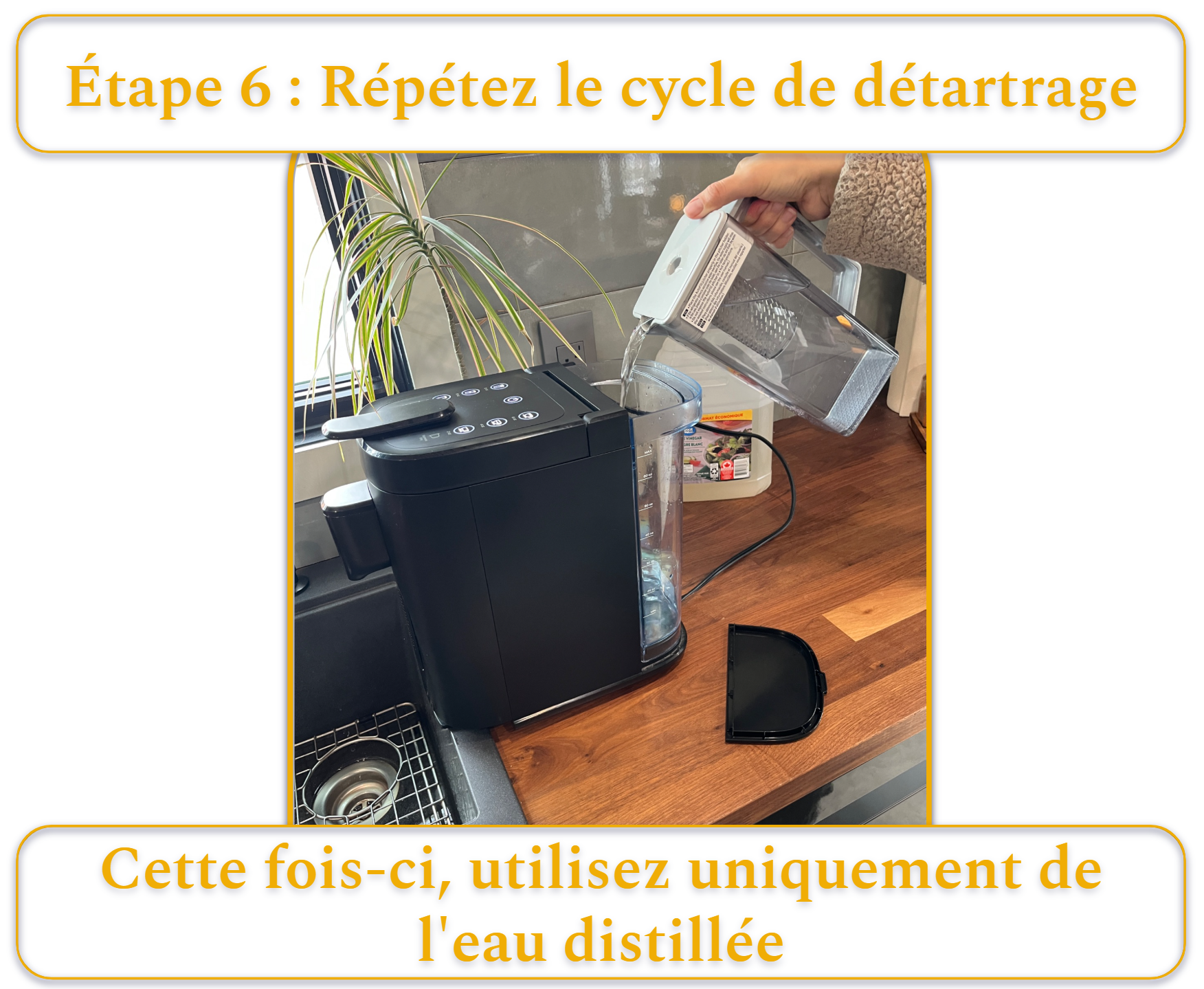 [MK] Draft: How to Clean a Coffee Maker, Kristi Carignan