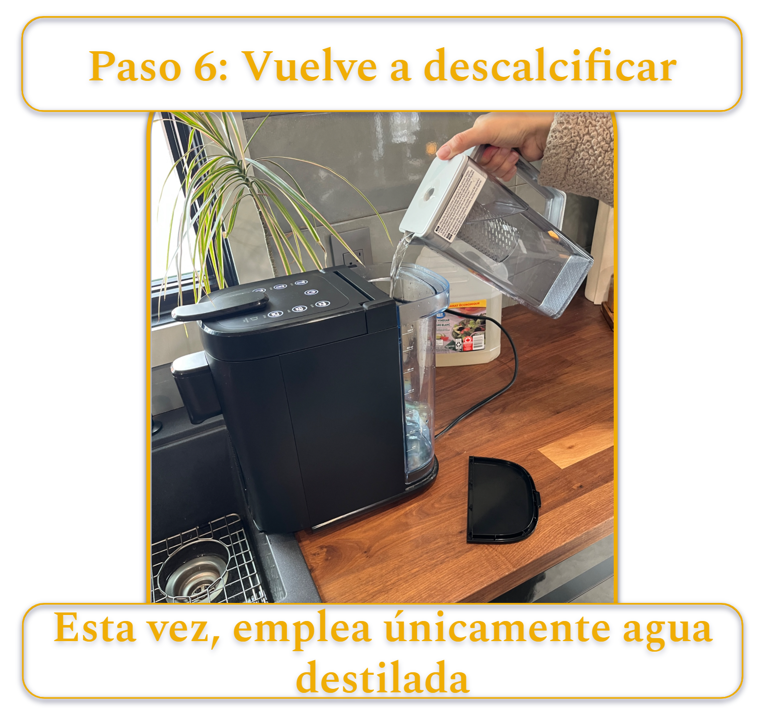 [MK] Borrador: Cómo limpiar una cafetera, Kristi Carignan