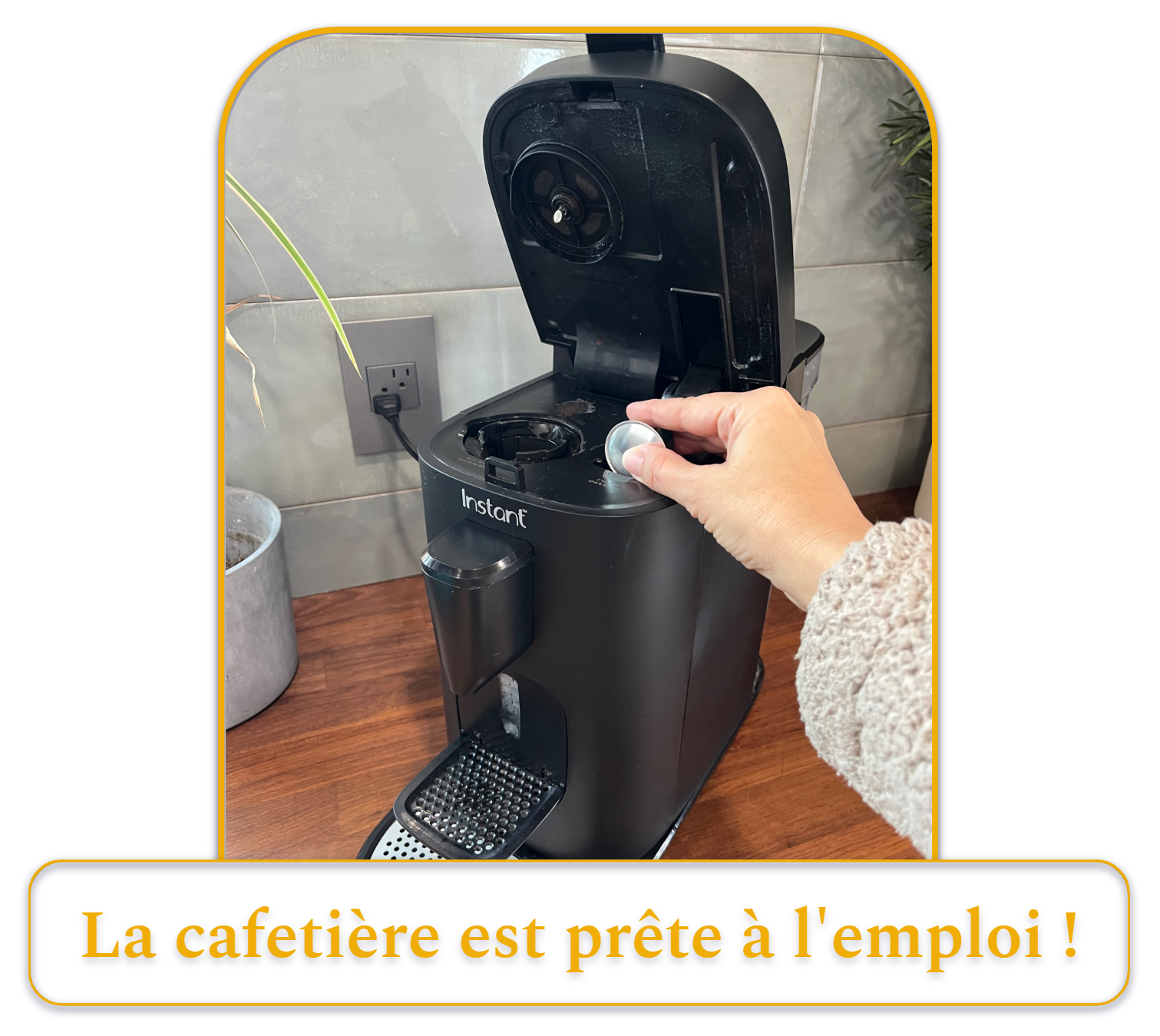 [MK] Draft: How to Clean a Coffee Maker, Kristi Carignan