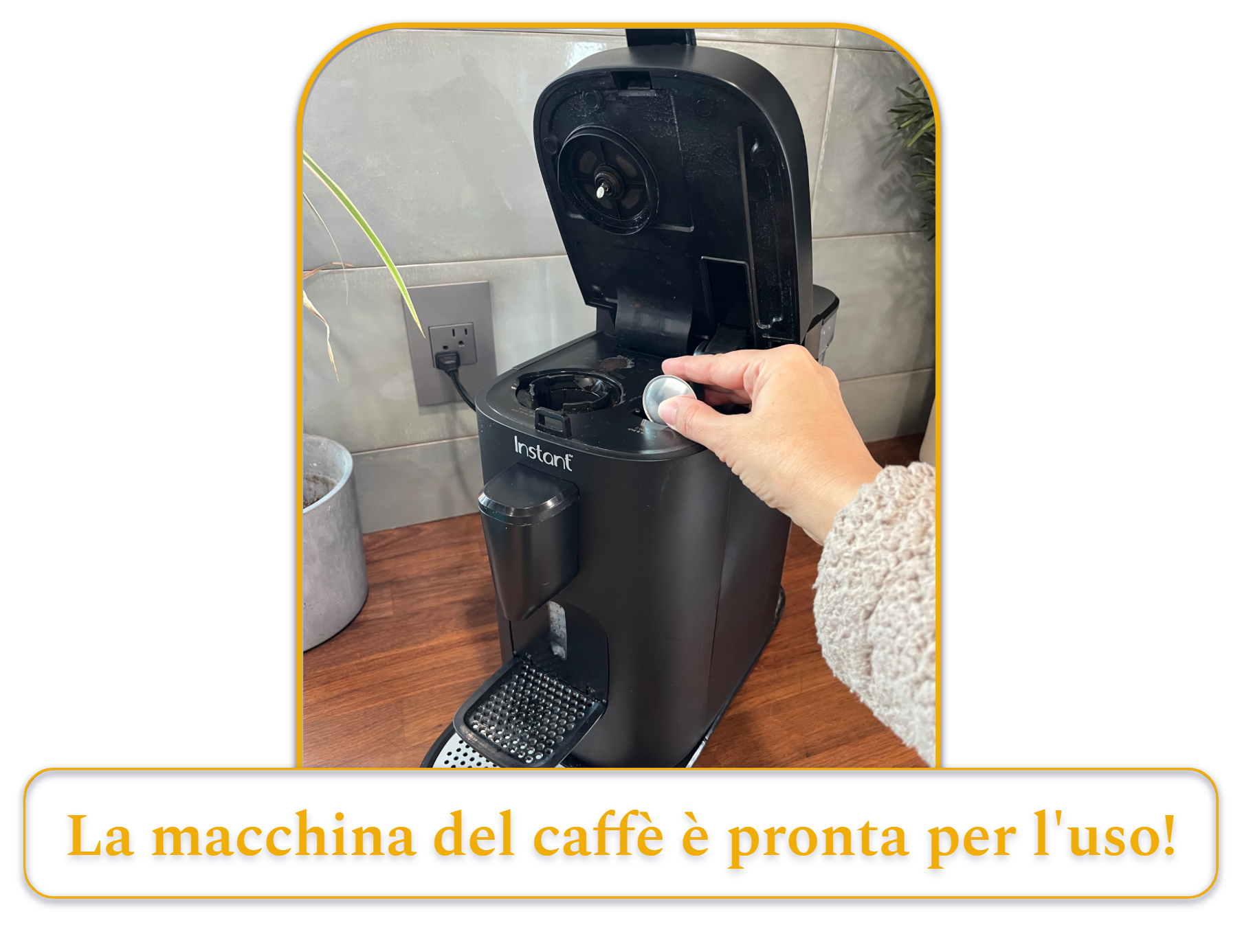 [MK] Draft: How to Clean a Coffee Maker, Kristi Carignan