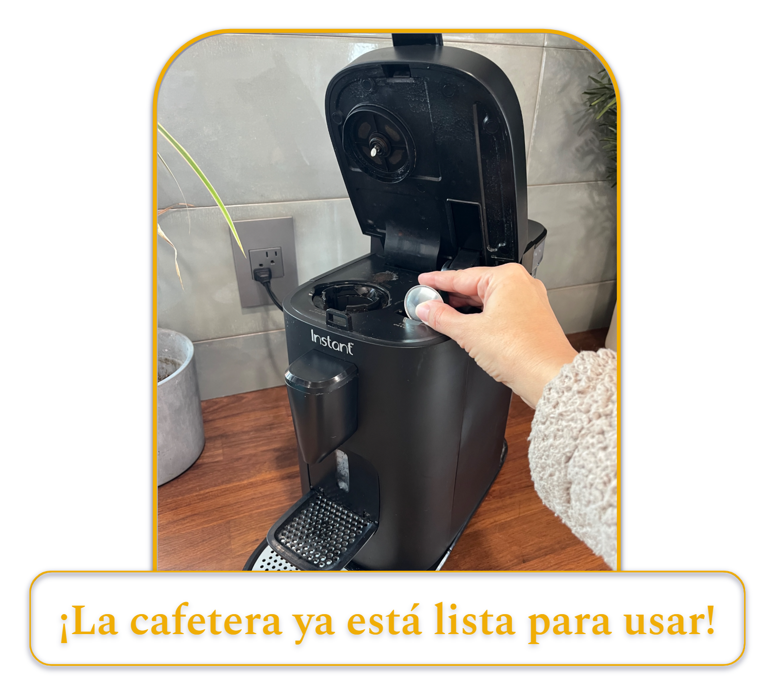 [MK] Borrador: Cómo limpiar una cafetera, Kristi Carignan