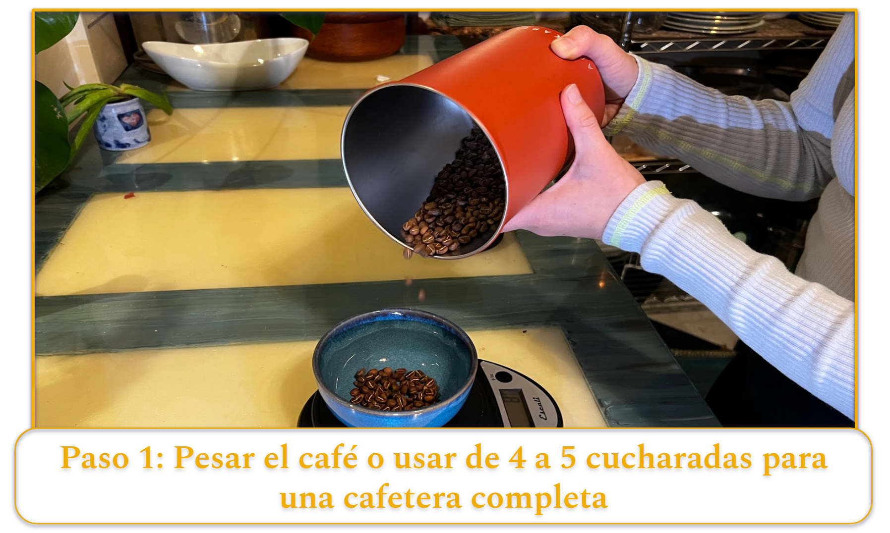 [MK] Draft: How to Use a Coffee Maker, Katrina Yentch