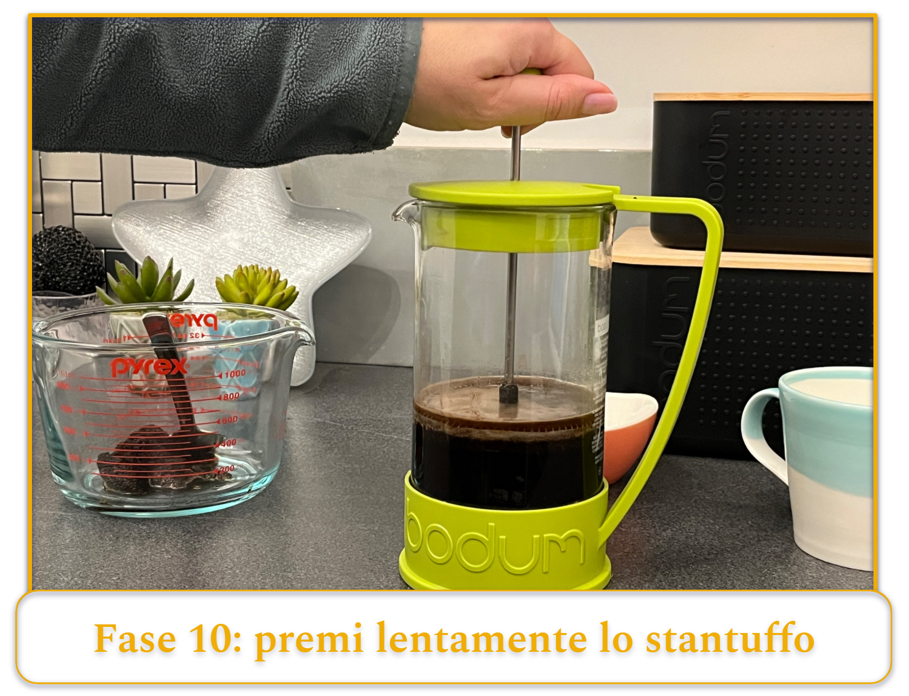 Fase 10 della preparazione del caffè con la macchina da caffè a stantuffo francese; premere lentamente