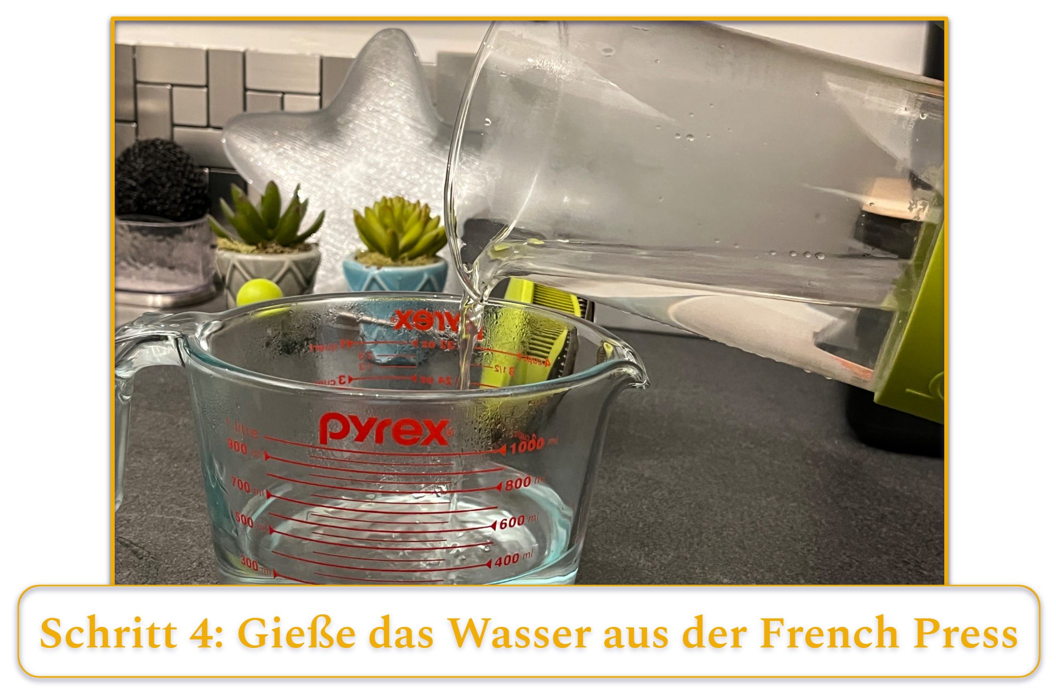 Schritt 4 bei der Zubereitung von French-Press-Kaffee; Wasser aus einer French Press nach dem Vorheizen ausgießen