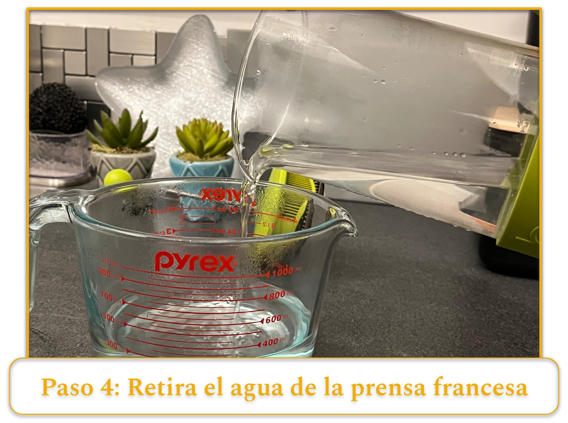 step 4 of making french press coffee; pouring out water from a french press after preheating it