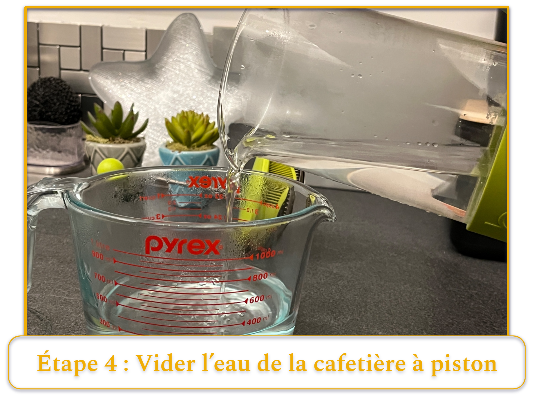 step 4 of making french press coffee; pouring out water from a french press after preheating it