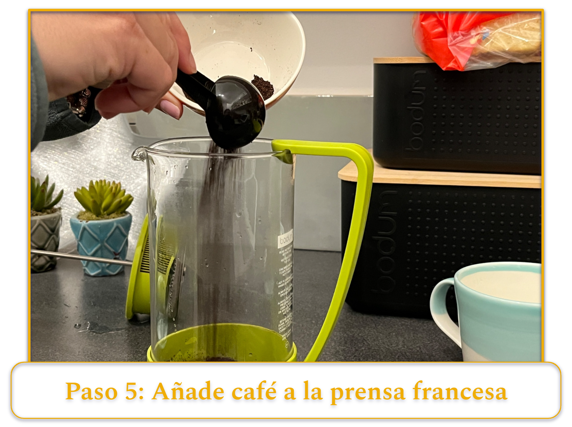 step 5 of making french press coffee; adding coffee grounds into a french press