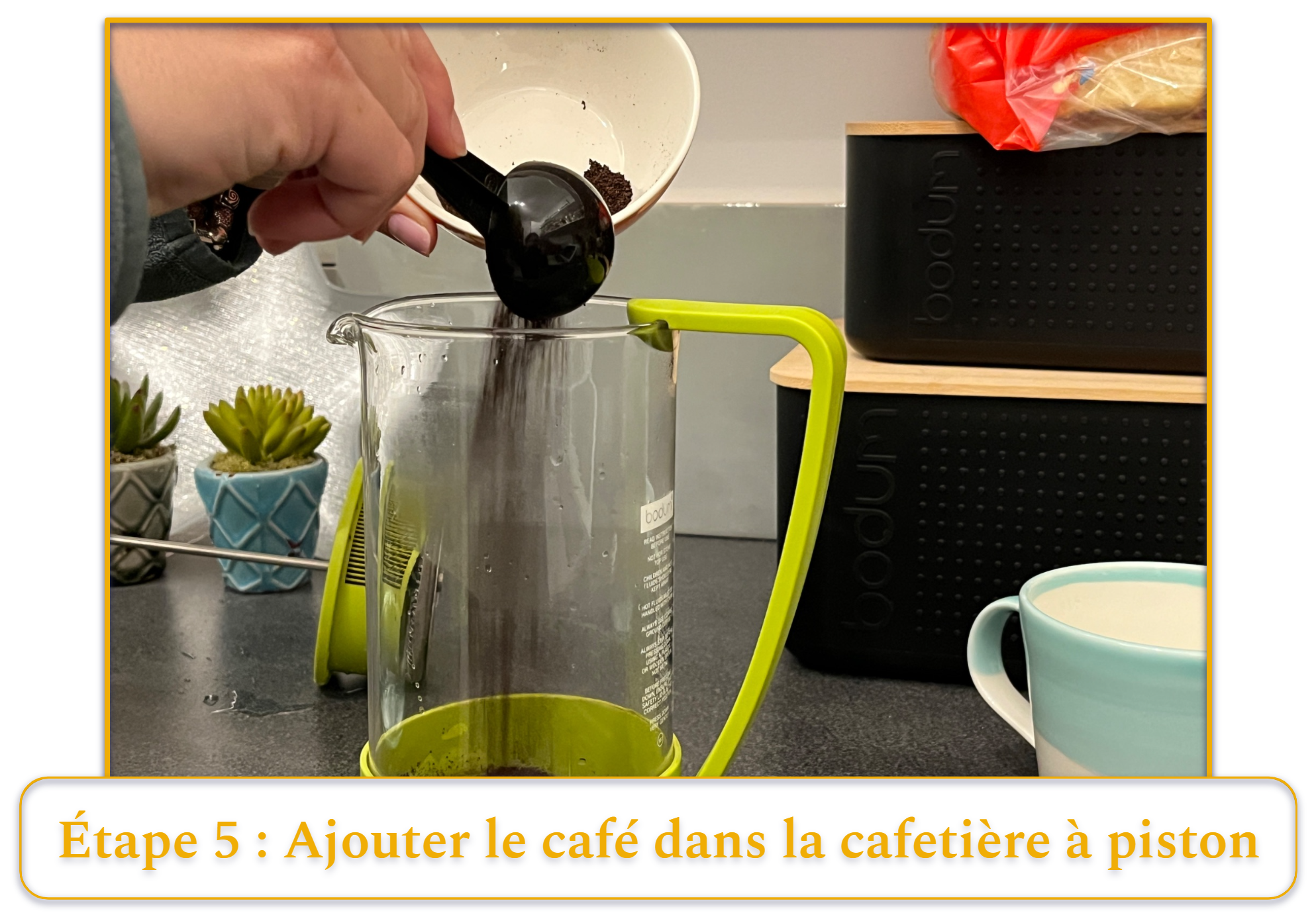 step 5 of making french press coffee; adding coffee grounds into a french press