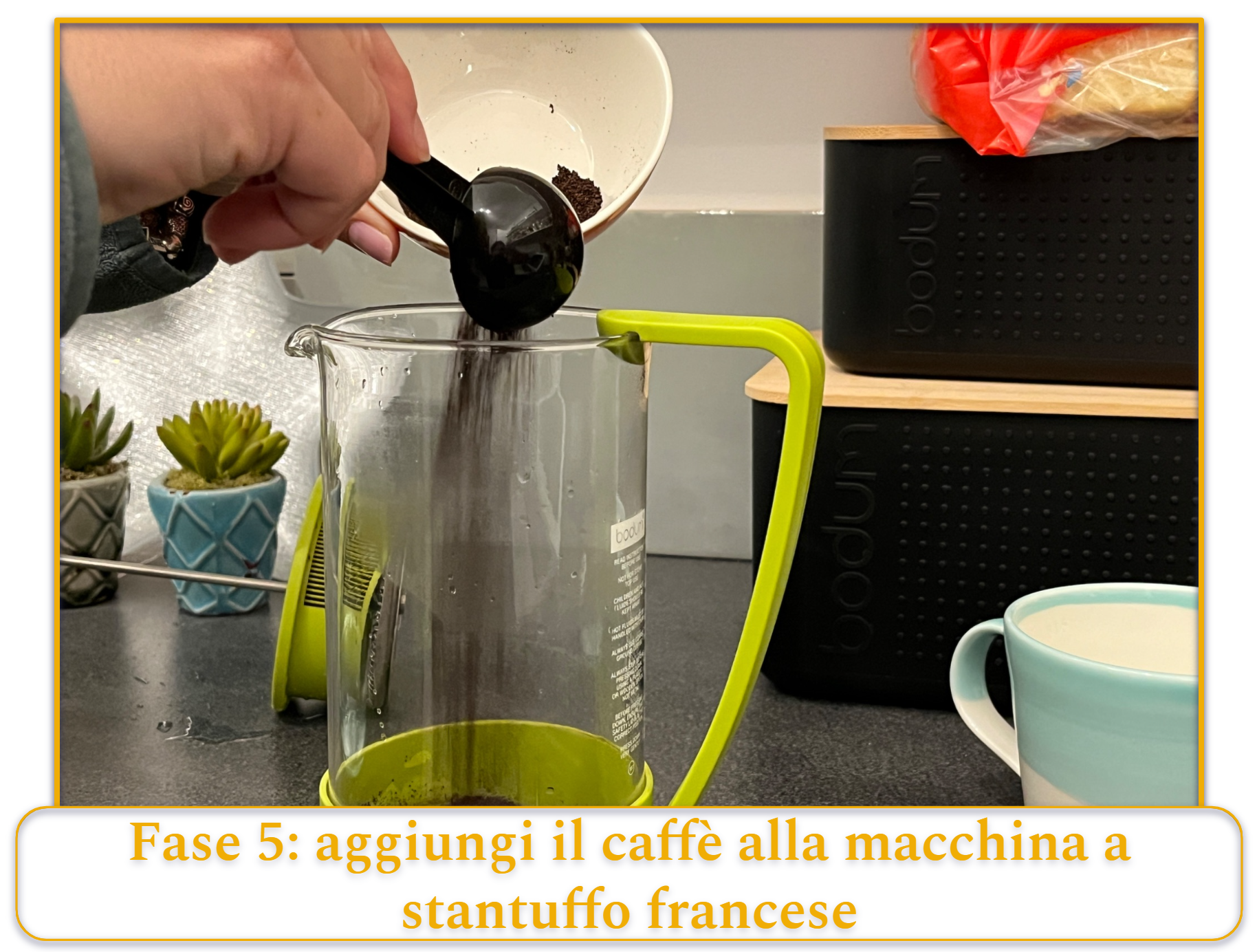 Fase 5 della preparazione del caffè con la macchina da caffè a stantuffo francese: aggiungere il caffè macinato alla caffettiera